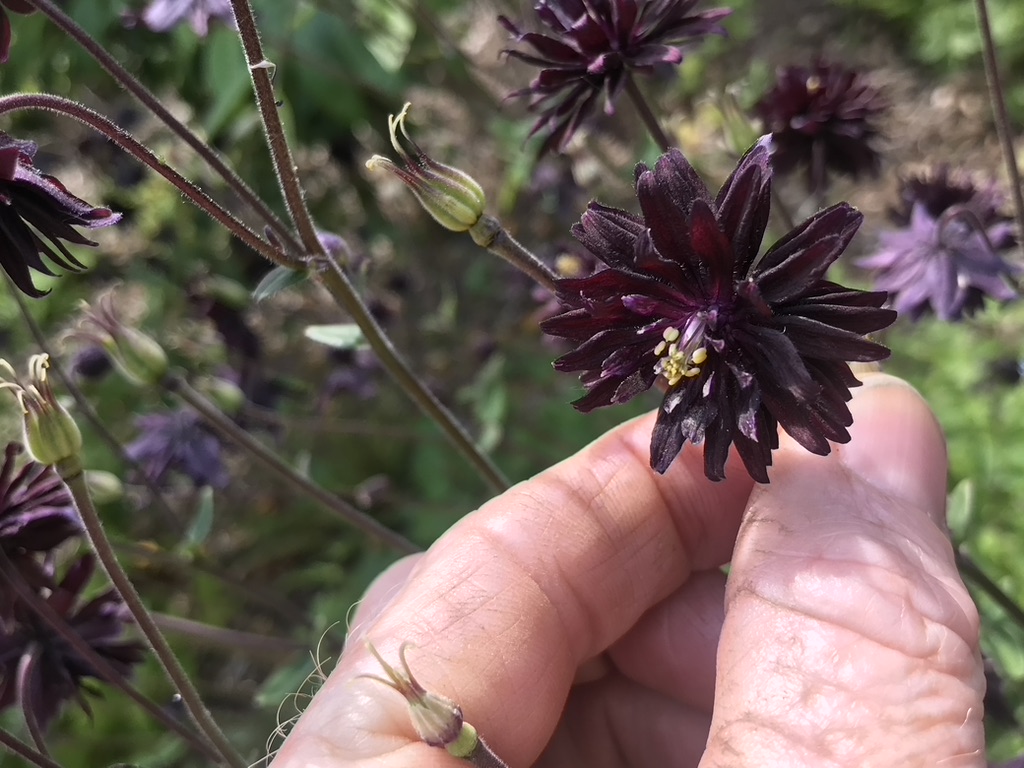 landscaper margate kent